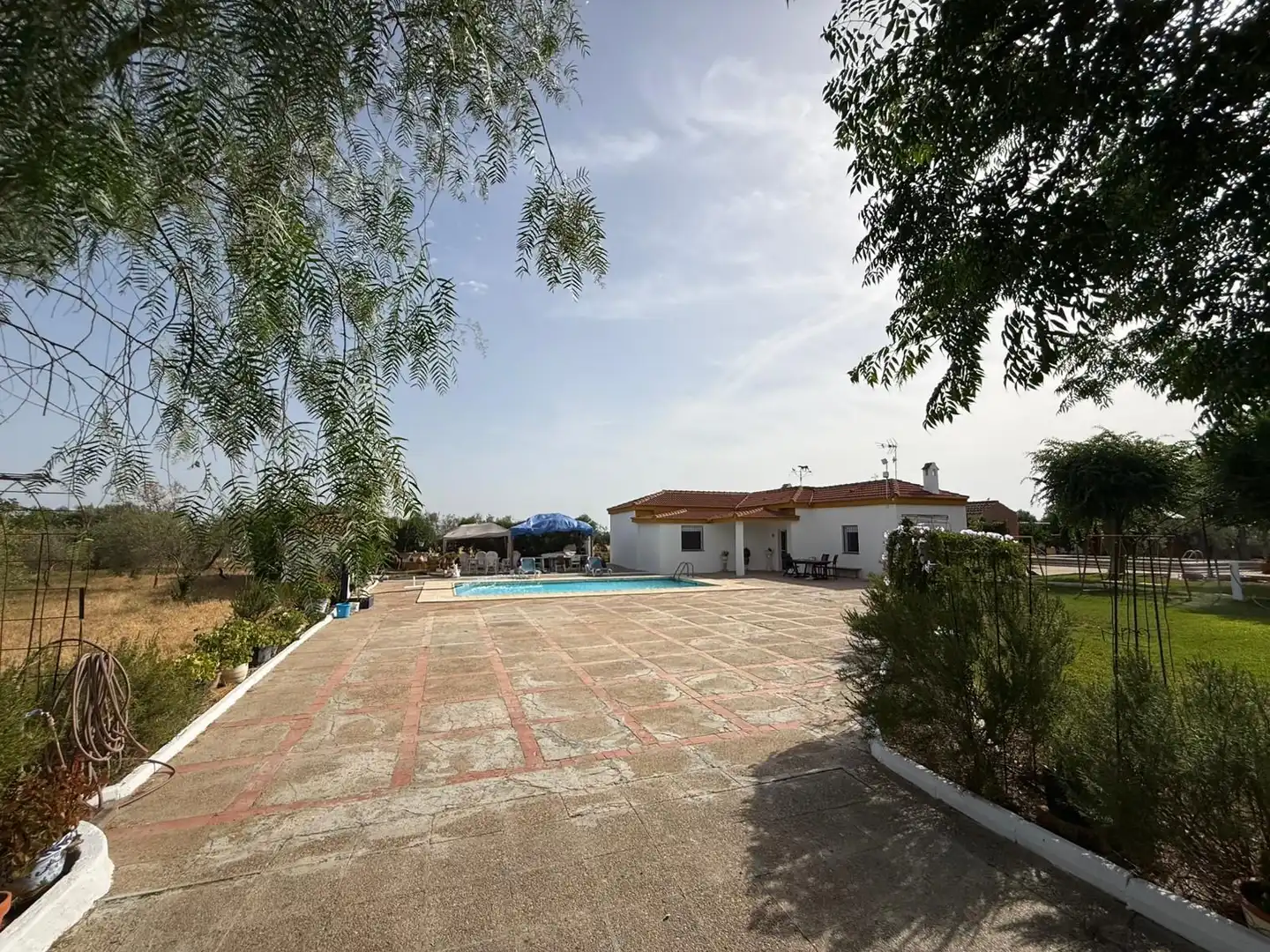 Xalet amb piscina en venda a 5 Urbanización los Jinetes 1 Fase, imagen 32