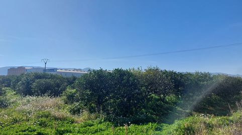 Foto 4 de Terreno en venta en Beniarbeig, Alicante