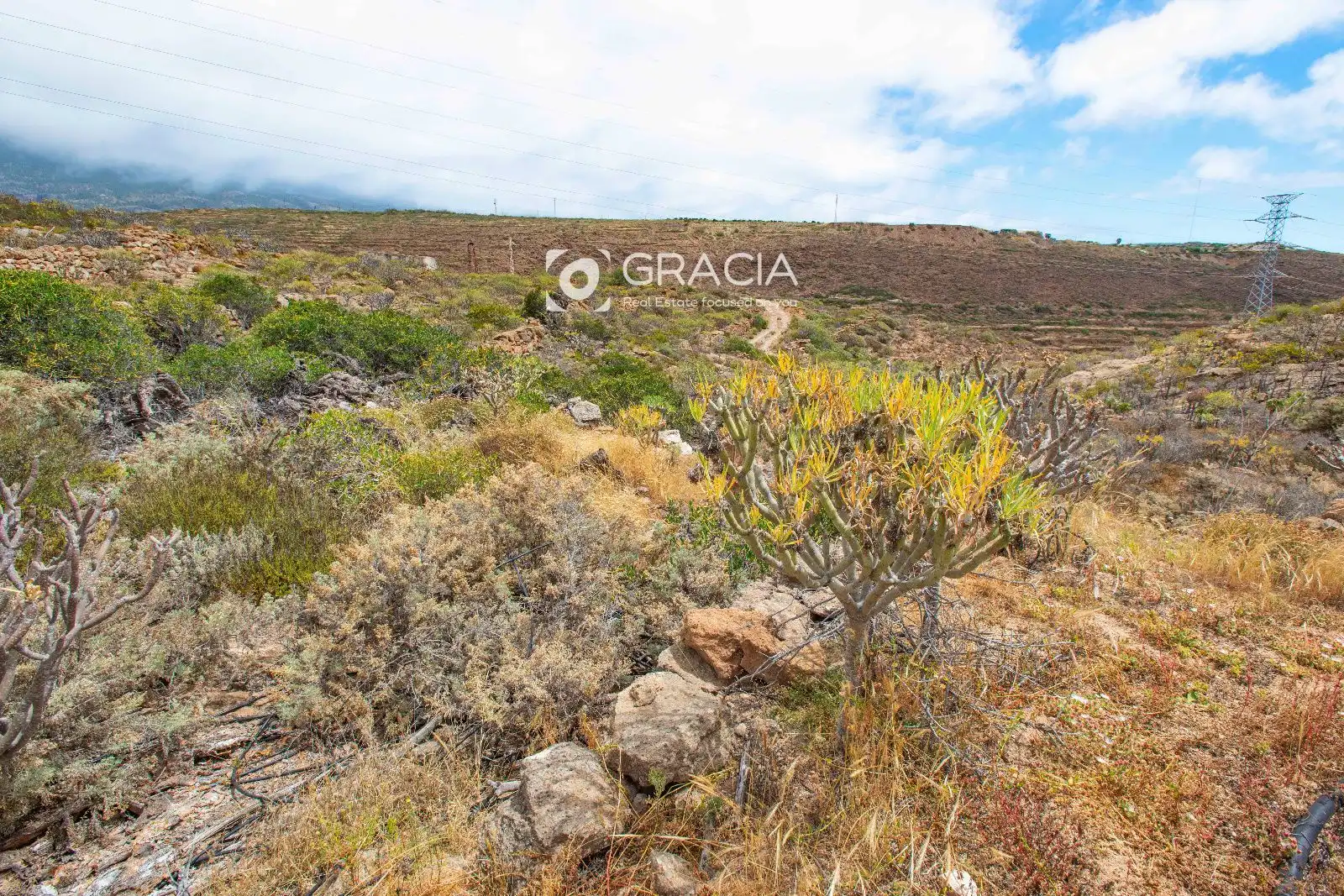 Terreno rustico in vendita a tf629, imagen 13