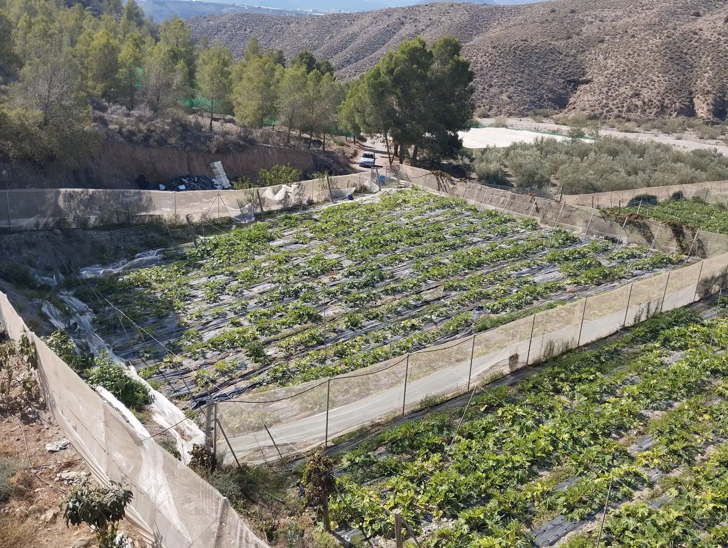 Terreno rustico in vendita a Santa Fe de Mondújar, imagen 9