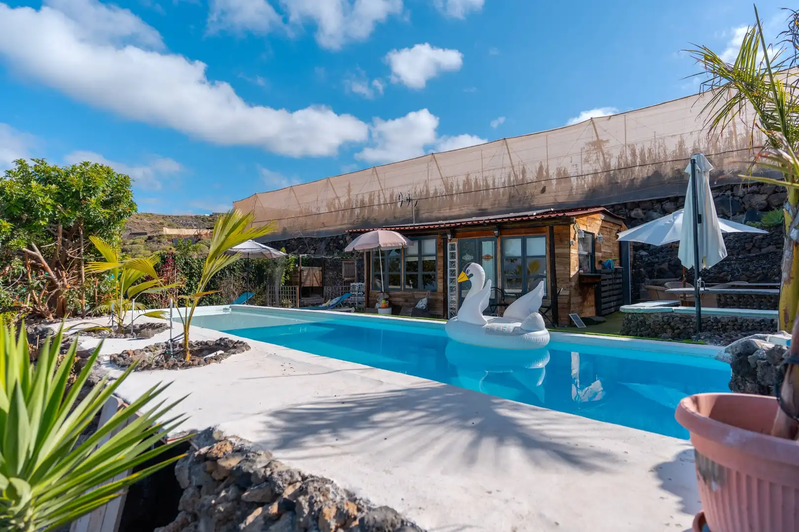 Swimming pool of Country homes for sale in Guía de Isora  with Swimming Pool