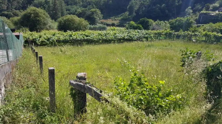 Terreni e lotti in vendita a Parroquias Rurales, imagen 2