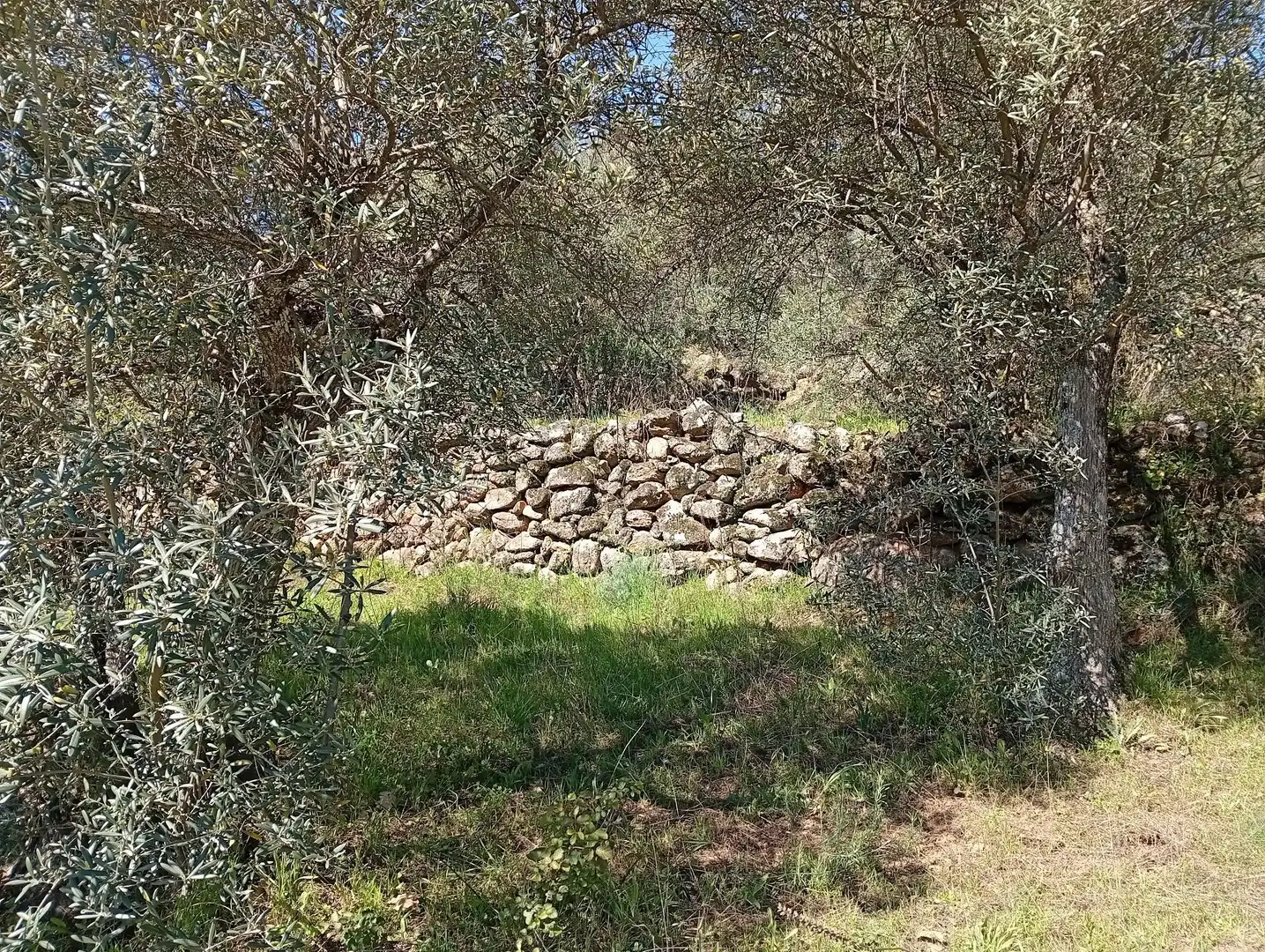 Terreni e lotti in vendita a Valverde de la Vera, imagen 66