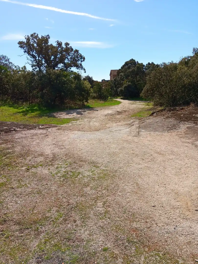 Terreno residencial en venta en Calle de Madrid 20, imagen 15