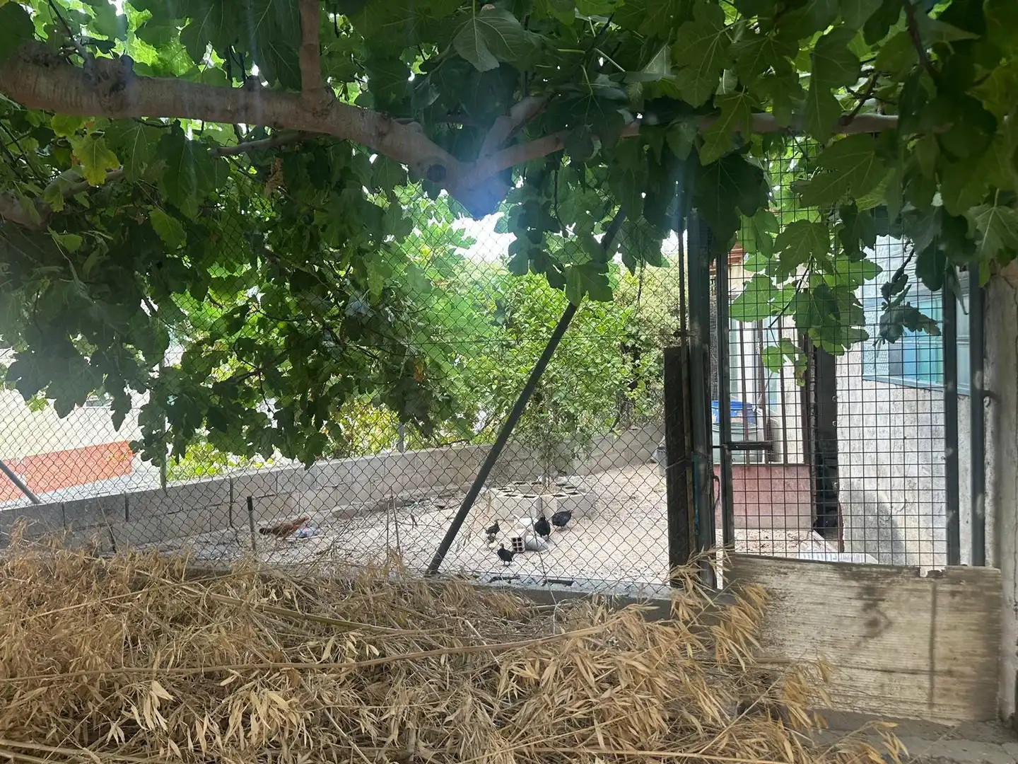 Casa o xalet en venda en Pego