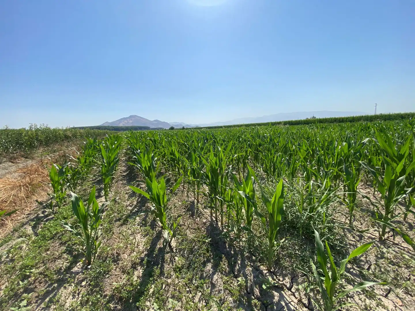 Grundstücke und Bauplätze zum Verkauf in Fuente Vaqueros, imagen 5