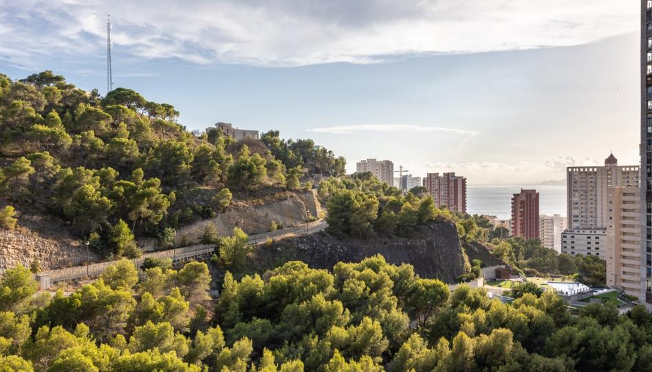 Photo 1 of Flat for sale in Rincón Alto, Alicante