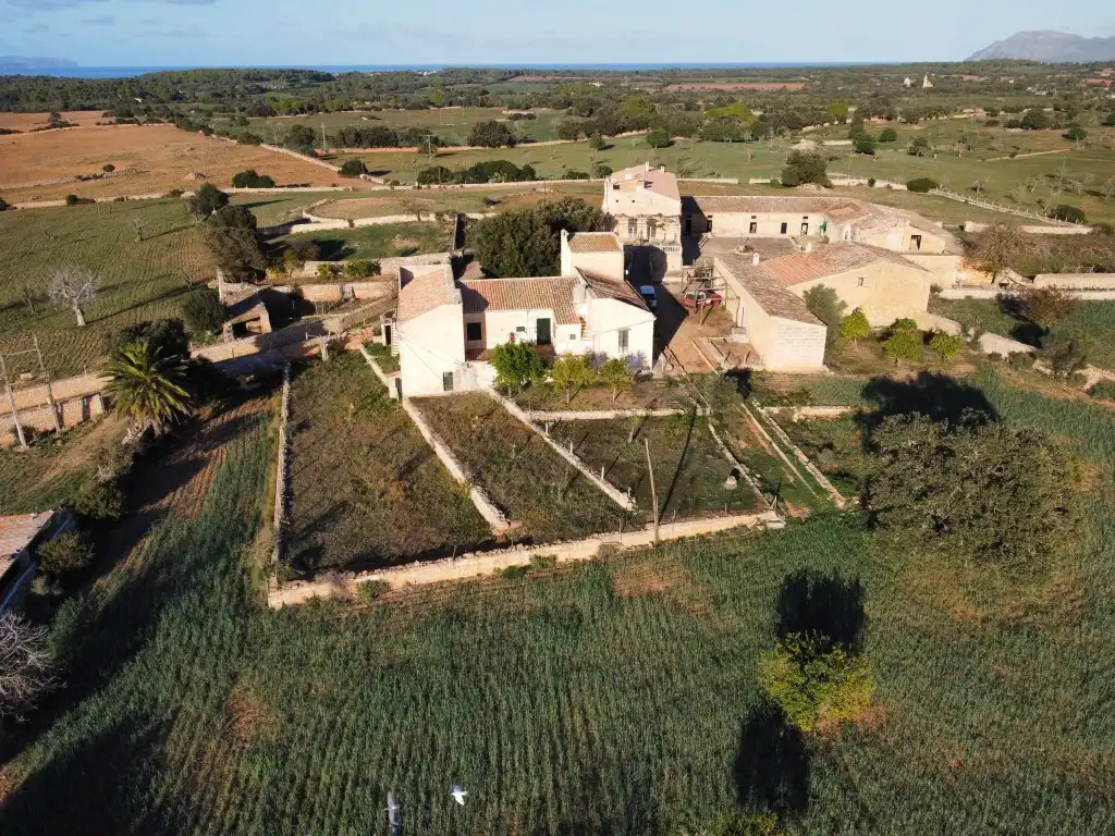 Finca rústica en venta en Santa Margalida
