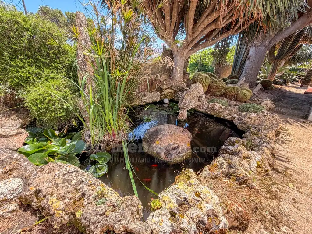 Jardí de Finca rústica en venda en Ciutadella de Menorca amb Aire condicionat i Terrassa
