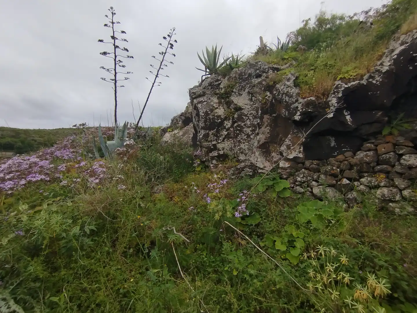 Terrain rustique à vendre à Calle Melian 6, imagen 18