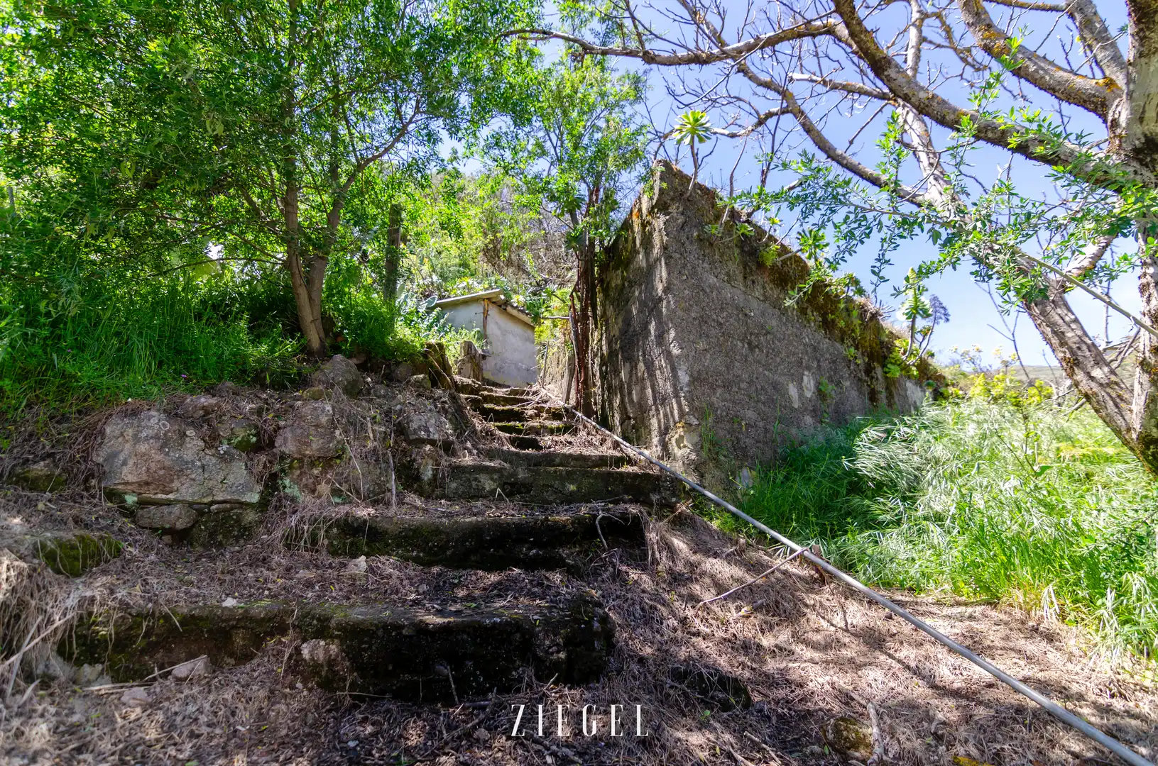 Exterior view of Houses for sale in Vega de San Mateo  with Private garden, Terrace and Storage room