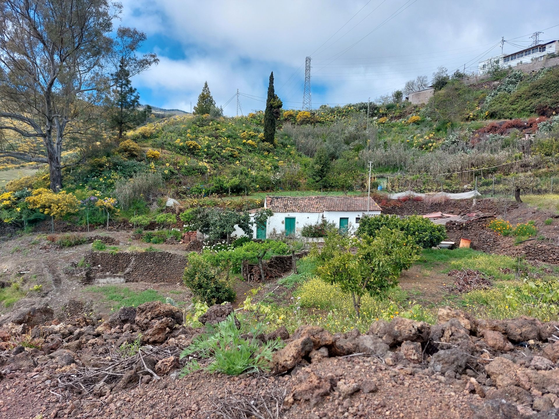 Vista exterior de Casa o xalet en venda en Vega de San Mateo amb Jardí privat