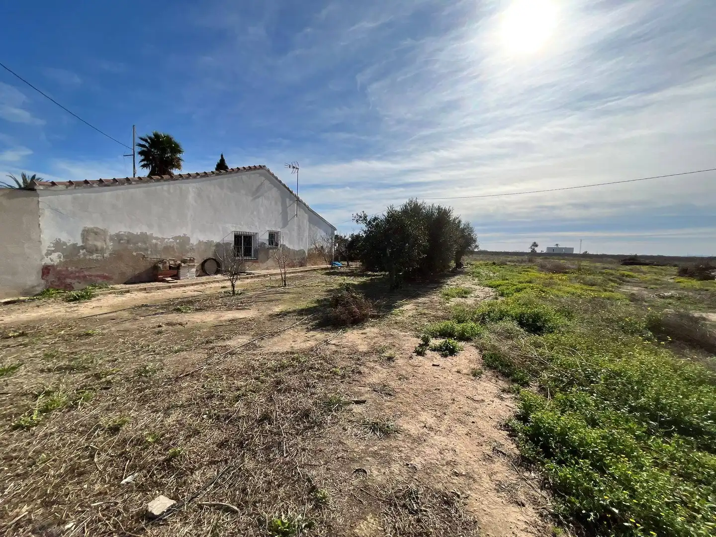 Casa o xalet en venda en Elche / Elx amb Jardí privat i Terrassa