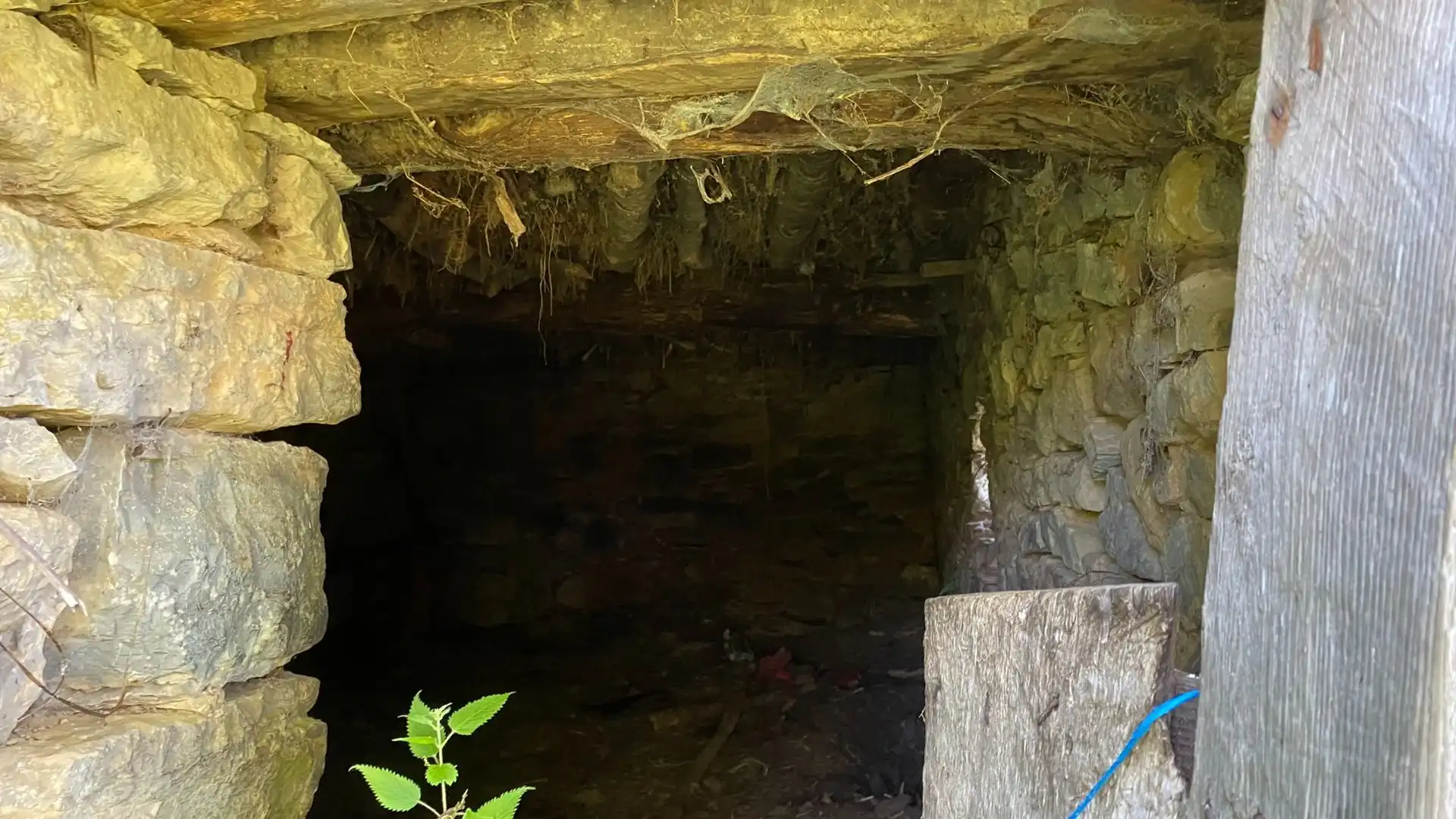 Terreno en venta en PRIESCA, Ponga