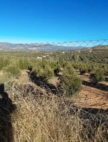 Terreny rústic en venda a Cogollos de la Vega, imagen 9