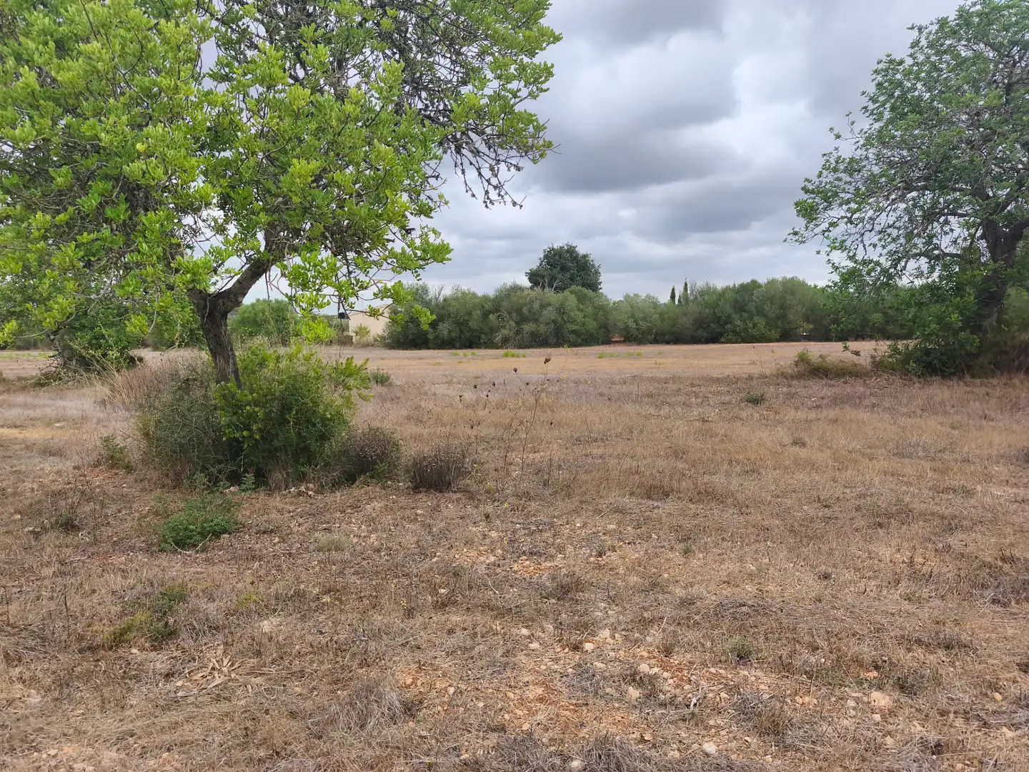 Terrain résidentiel à vendre à Algaida