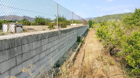 Terreno rústico de 2.525 m en Beniarjó, económico e ideal como huerto personal, immagine 3