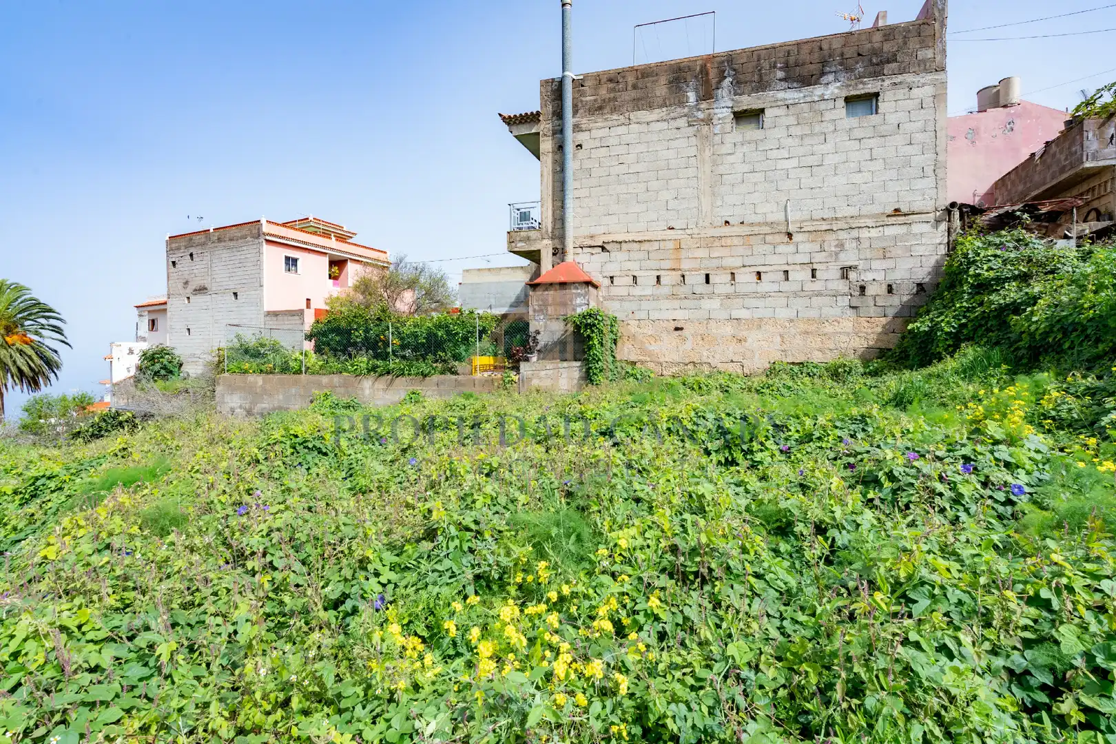 Finca rústica en venda en La Victoria de Acentejo