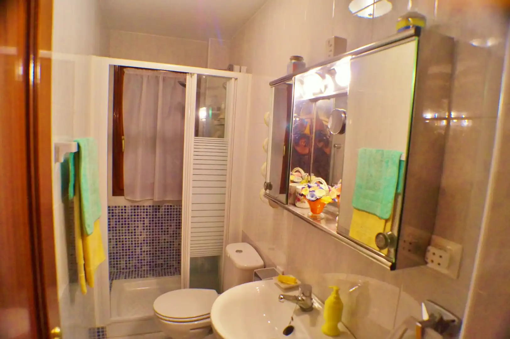 Appartamento con piscina in vendita a Barrio la Gerra 51, imagen 9