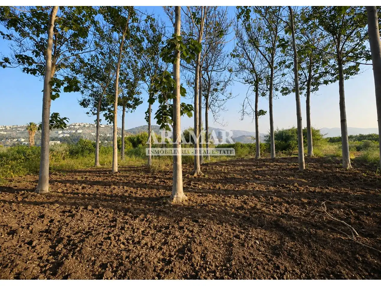 Rural land for sale in Pego, imagen 2