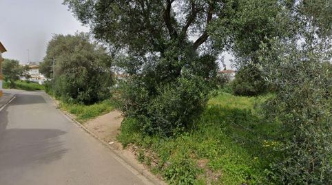 Foto 3 de Residencial en venta en Dr Miguel Marquez, 1, Calañas, Huelva