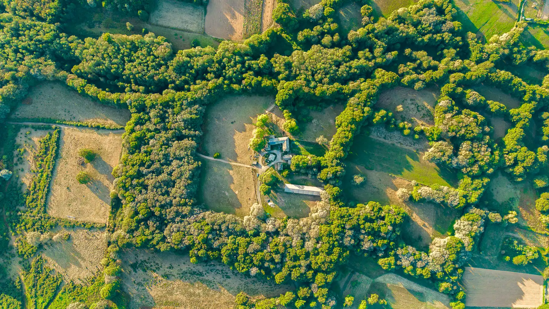 Finca rústica en venta en Outeiro de Rei