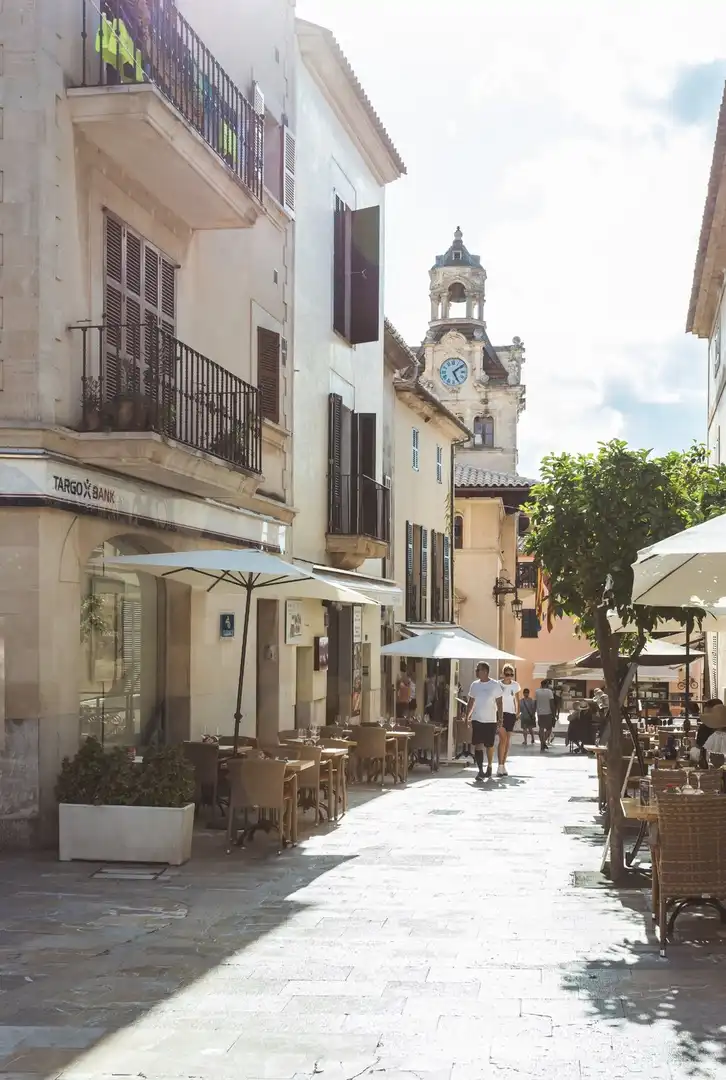 Terreny rústic en venda a Ciutat d'Alcúdia, imagen 16