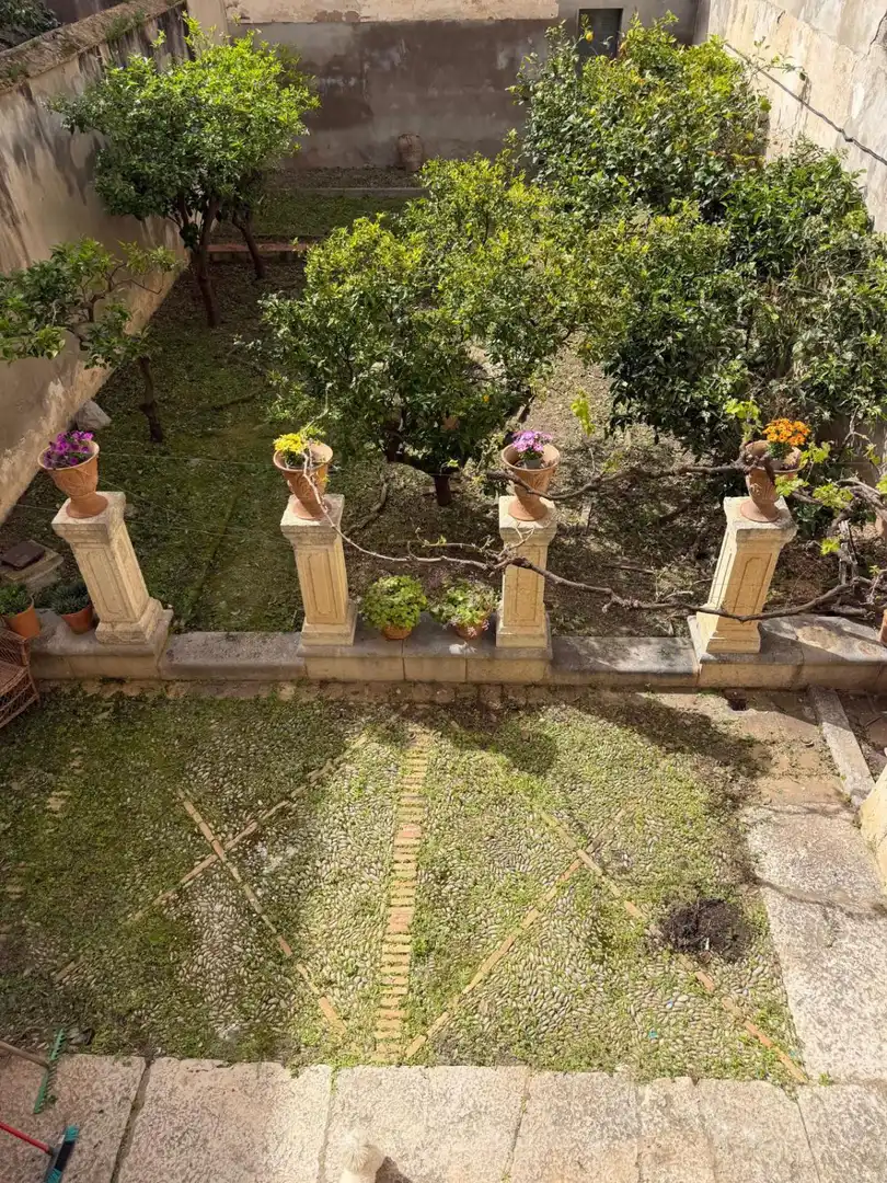 Jardí de Casa o xalet en venda en La Ràpita amb Aire condicionat i Traster