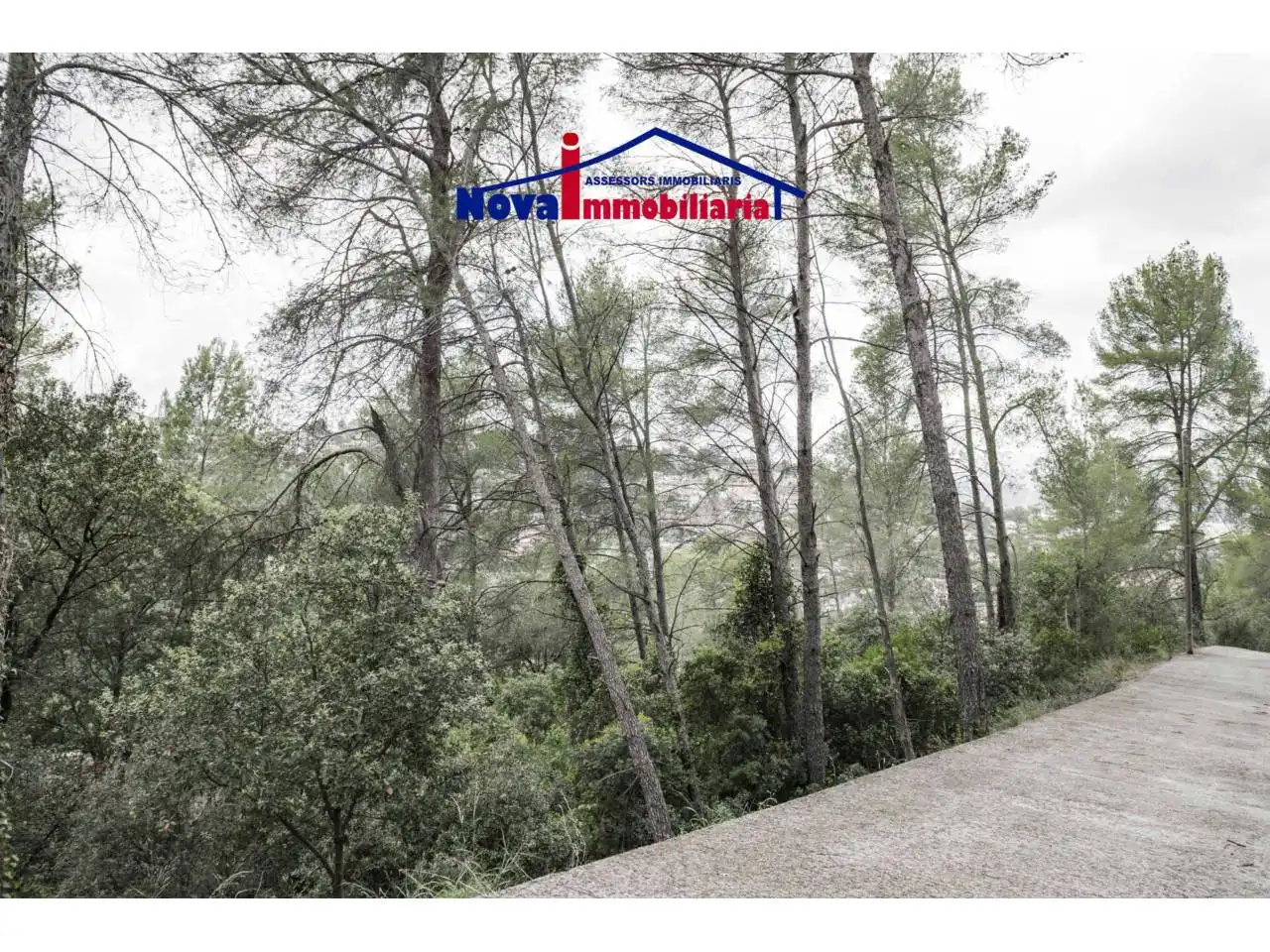 Rural land for sale in Calle Socies 20, imagen 11