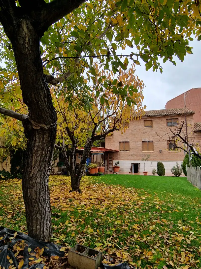 Jardín de Casa o chalet en venta en Medina del Campo con Calefacción, Jardín privado y Terraza