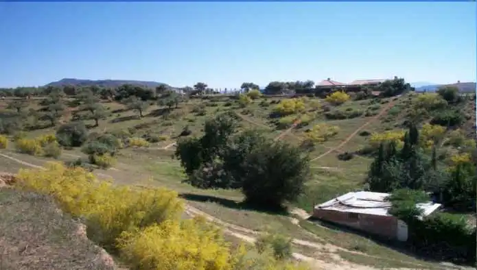 Rural land for sale in Pda. Llanos de los Puentes - Las Paredillas -, imagen 7