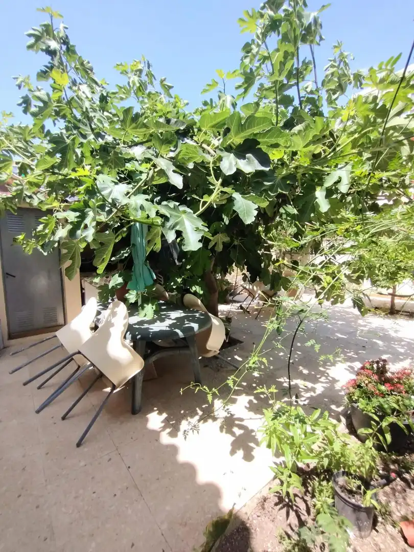 Terraced house with pool for sale in Juzgados - Plaza de Toros, imagen 17
