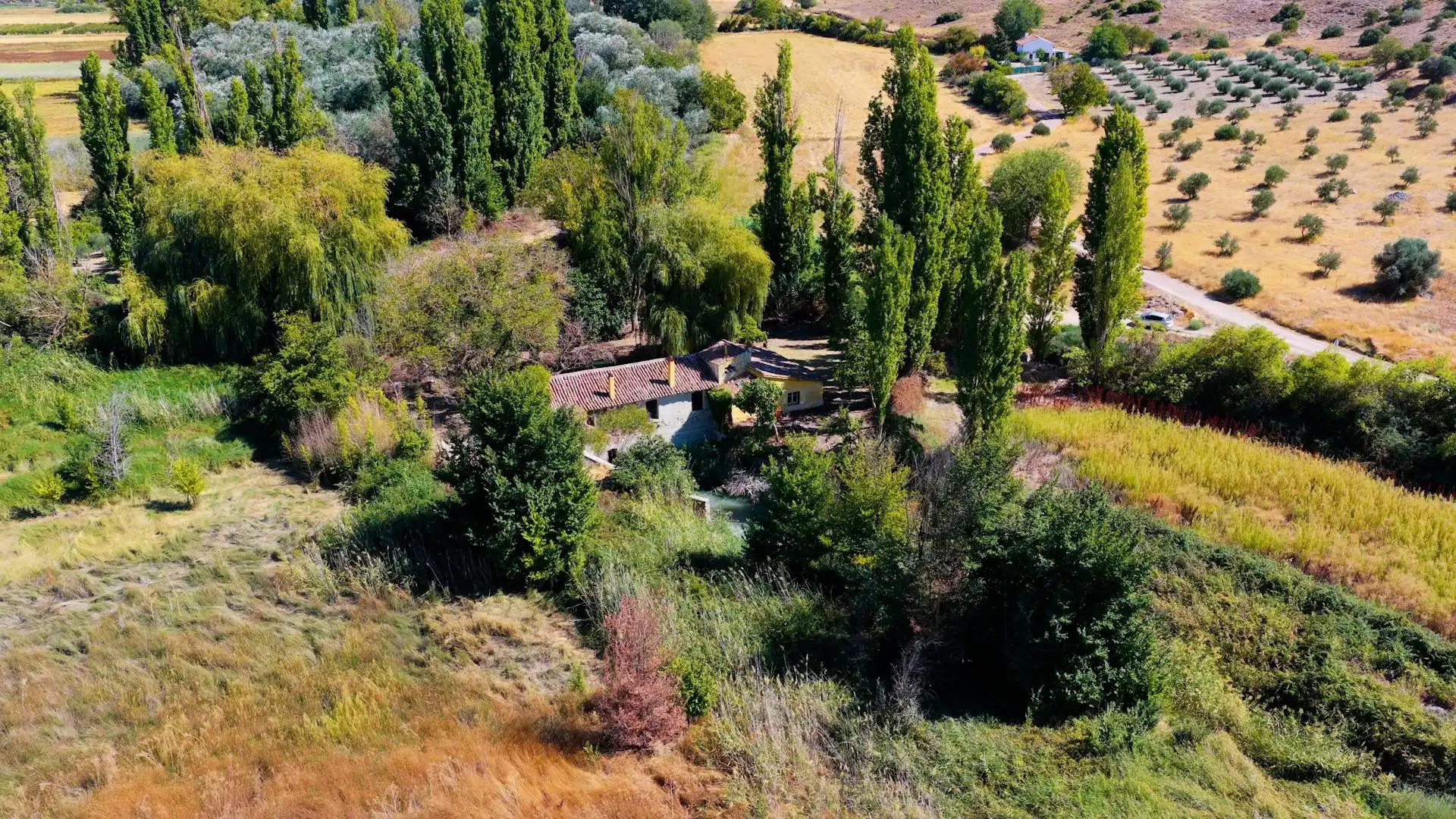 Jardín de Finca rústica en venta en Morata de Jiloca, Zaragoza