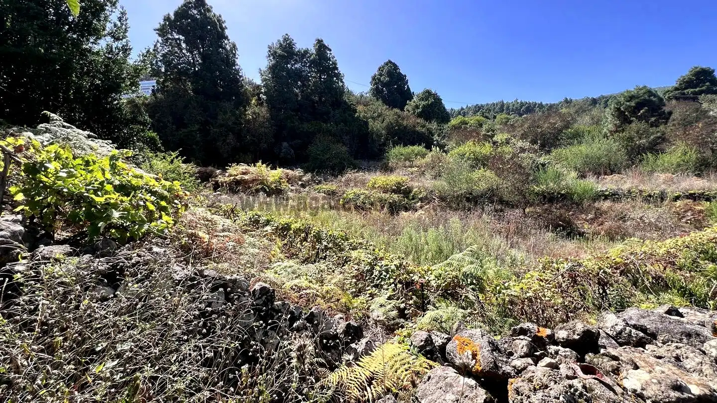 Rural land for sale in La Vega - El Amparo - Cueva del Viento, imagen 8