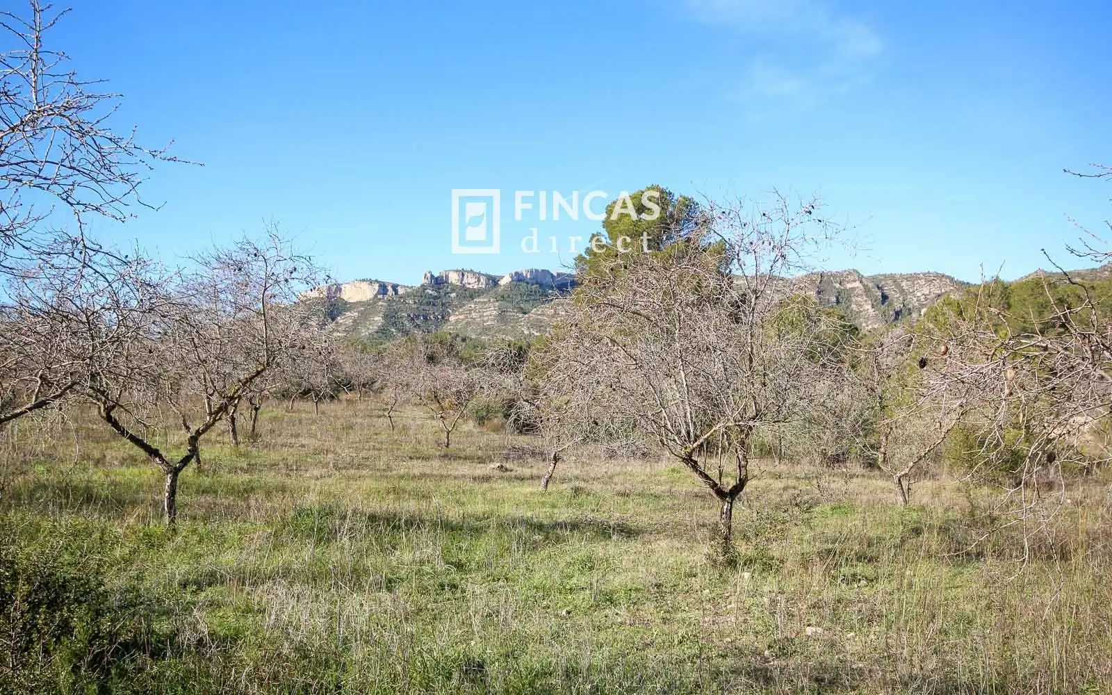 Finca rústica en venta en Miravet