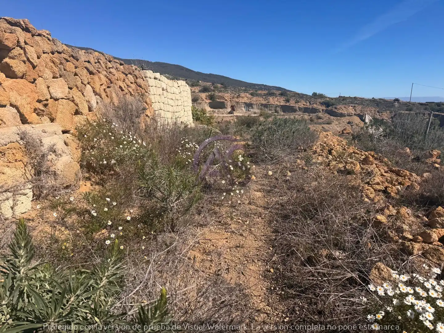 Terreno en venta en Calle Pino Gordo, Fasnia