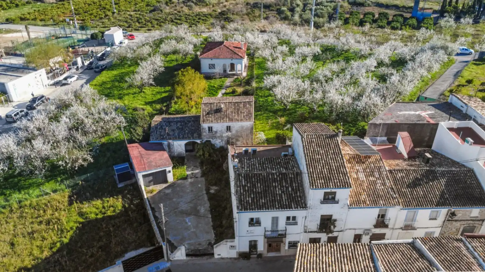 Maison rustique avec jardin à vendre à Murla, imagen 2