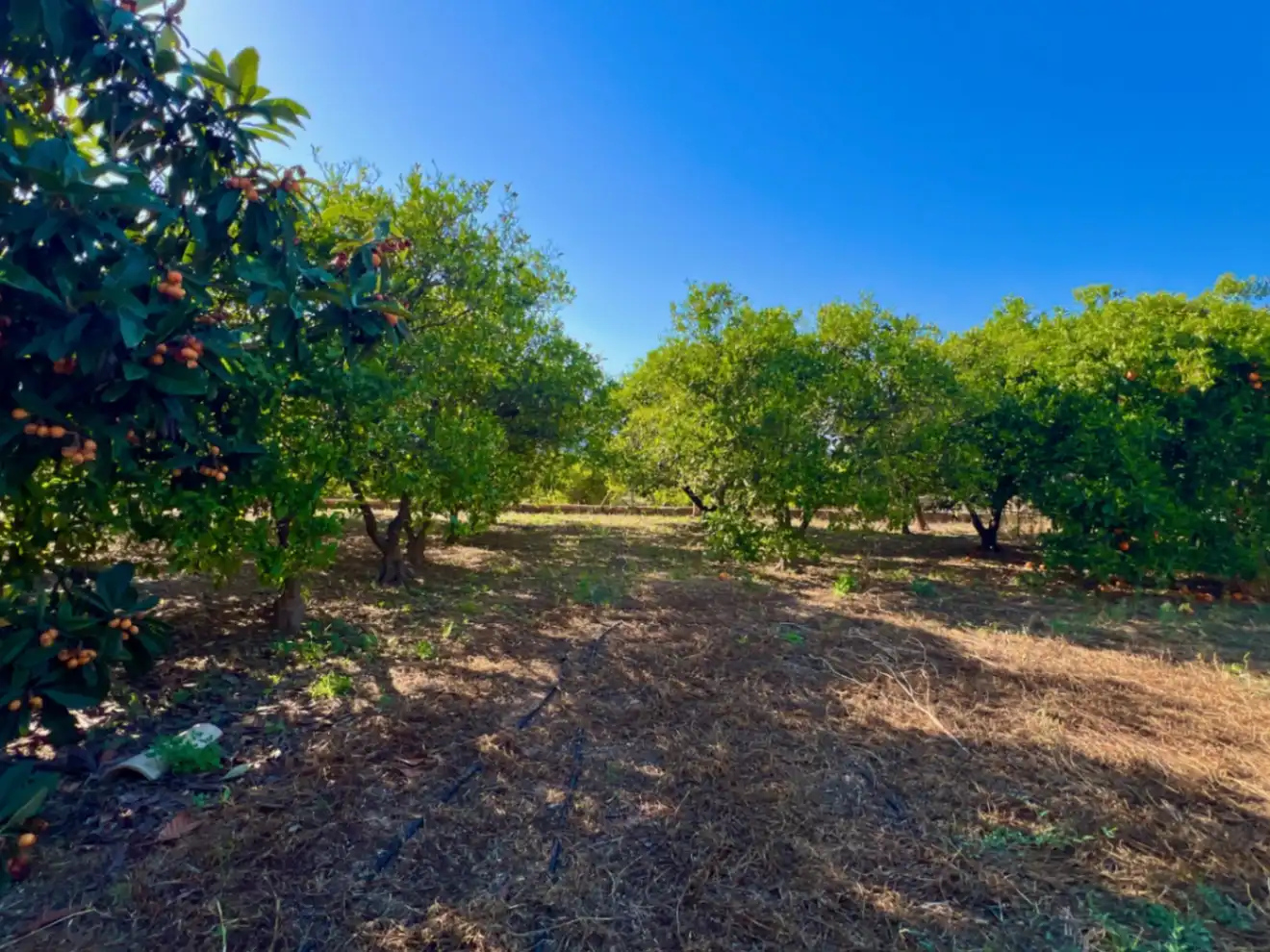 Country house for sale in Pedreguer, imagen 7