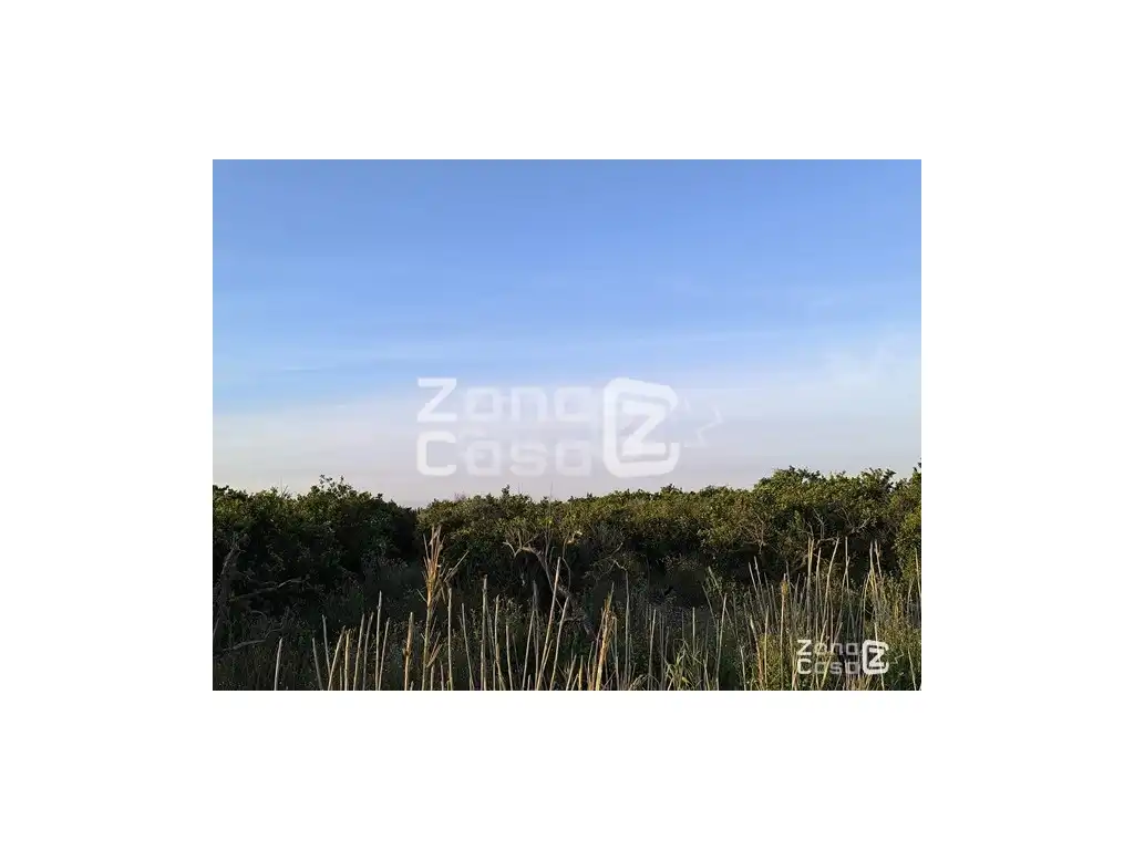 Country homes for sale in Algemesí, Valencia