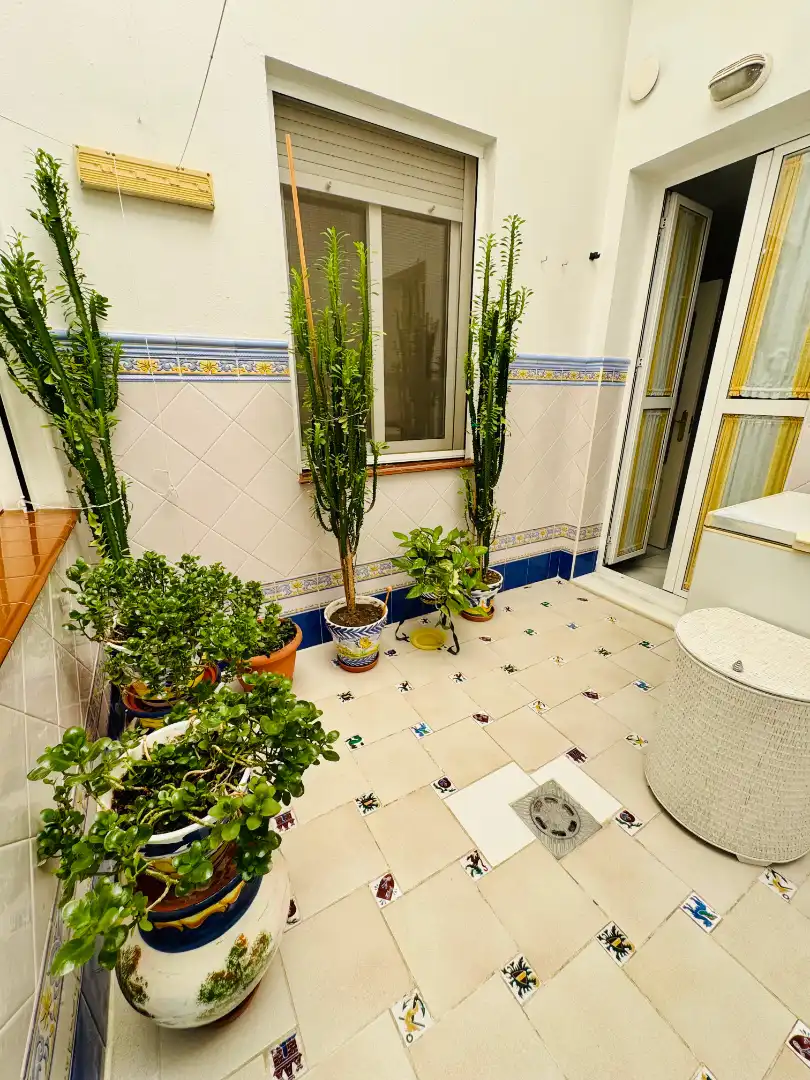 Terrace of Detached homes for sale in Centro - Barriada Mallorca