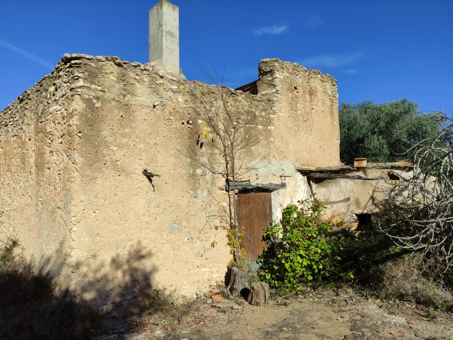 Terreno rustico in vendita a Carrer Verge de Gràcia, imagen 4