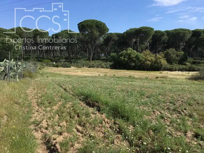 Finca rústica en venda en Almonte amb Terrassa i Moblat
