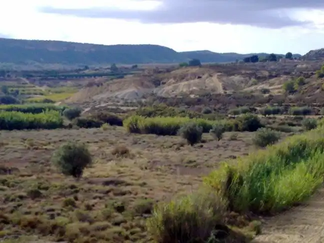 Terreno en venta en Elche / Elx