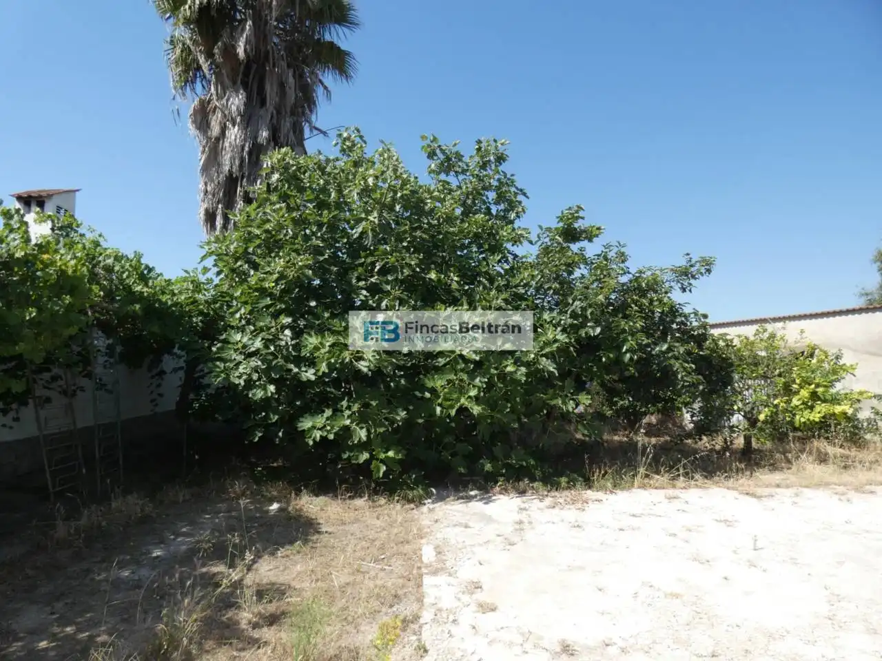 Finca rústica en venda en Benicarló amb Jardí privat i Terrassa