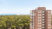 Vista exterior de Apartament en venda en Guardamar del Segura amb Aire condicionat i Balcó