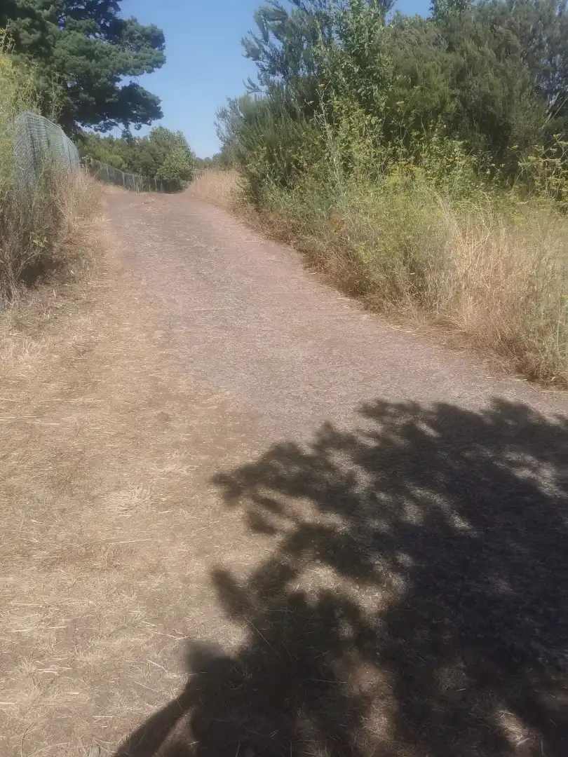 Grundstücke zum Verkauf in El Tanque, Santa Cruz de Tenerife