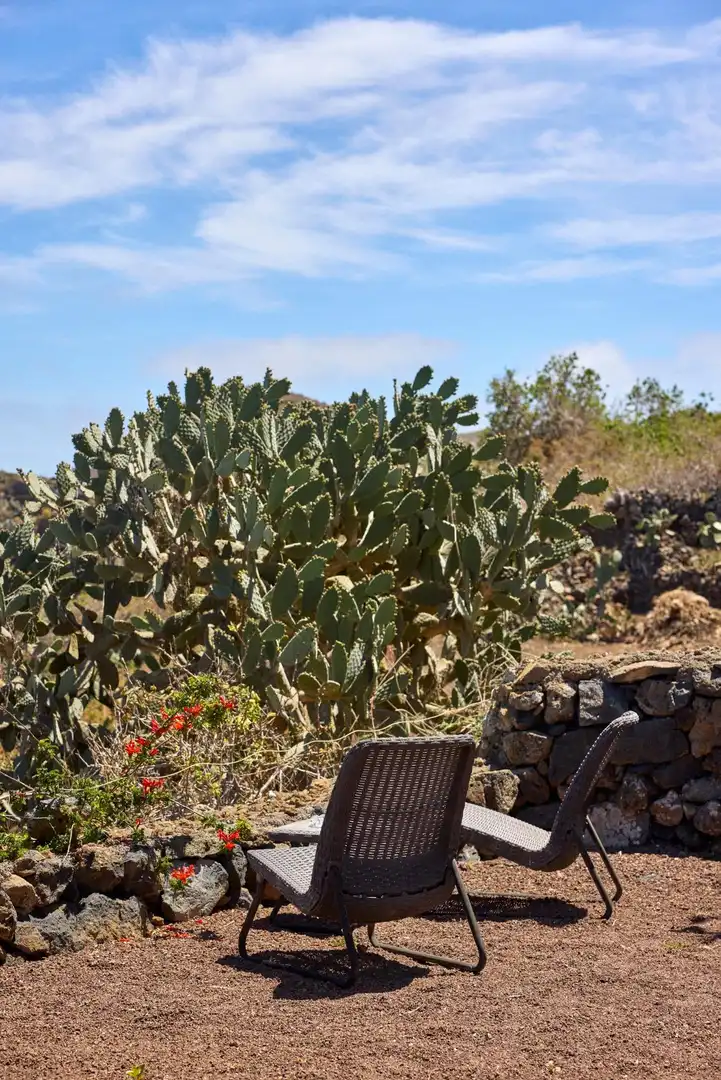 Jardín de Casa o chalet en venta en Valverde (Santa Cruz de Tenerife) con Jardín privado