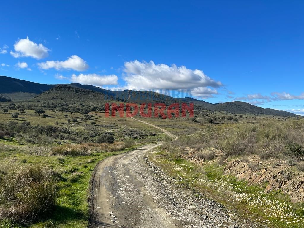 Country house for sale in Carrascalejo