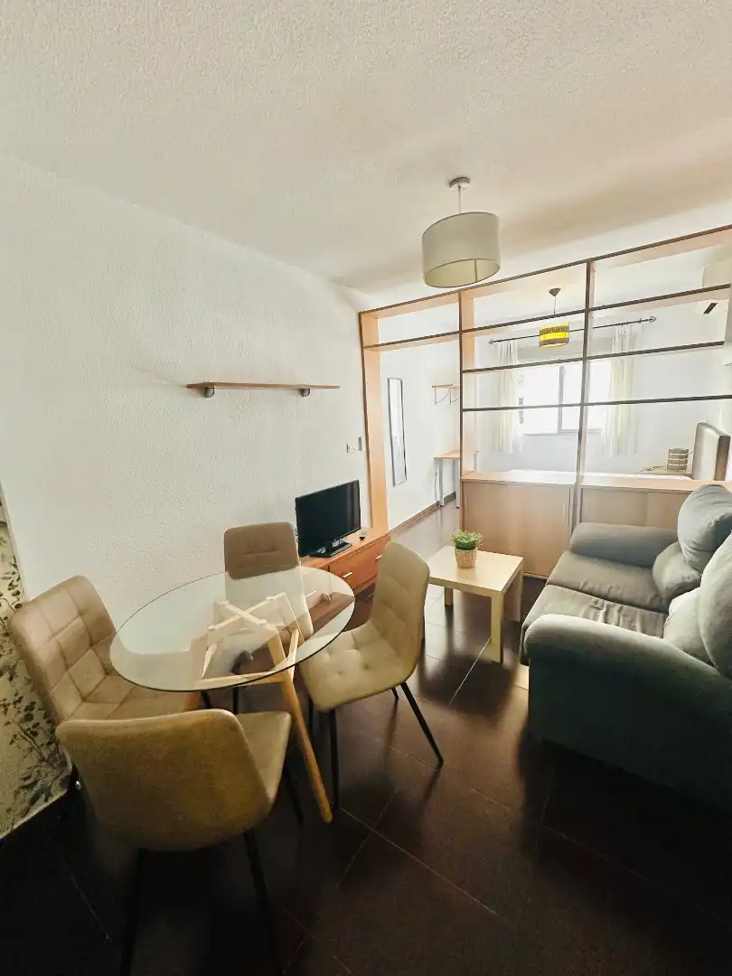 Living room of Study for rent in Centro