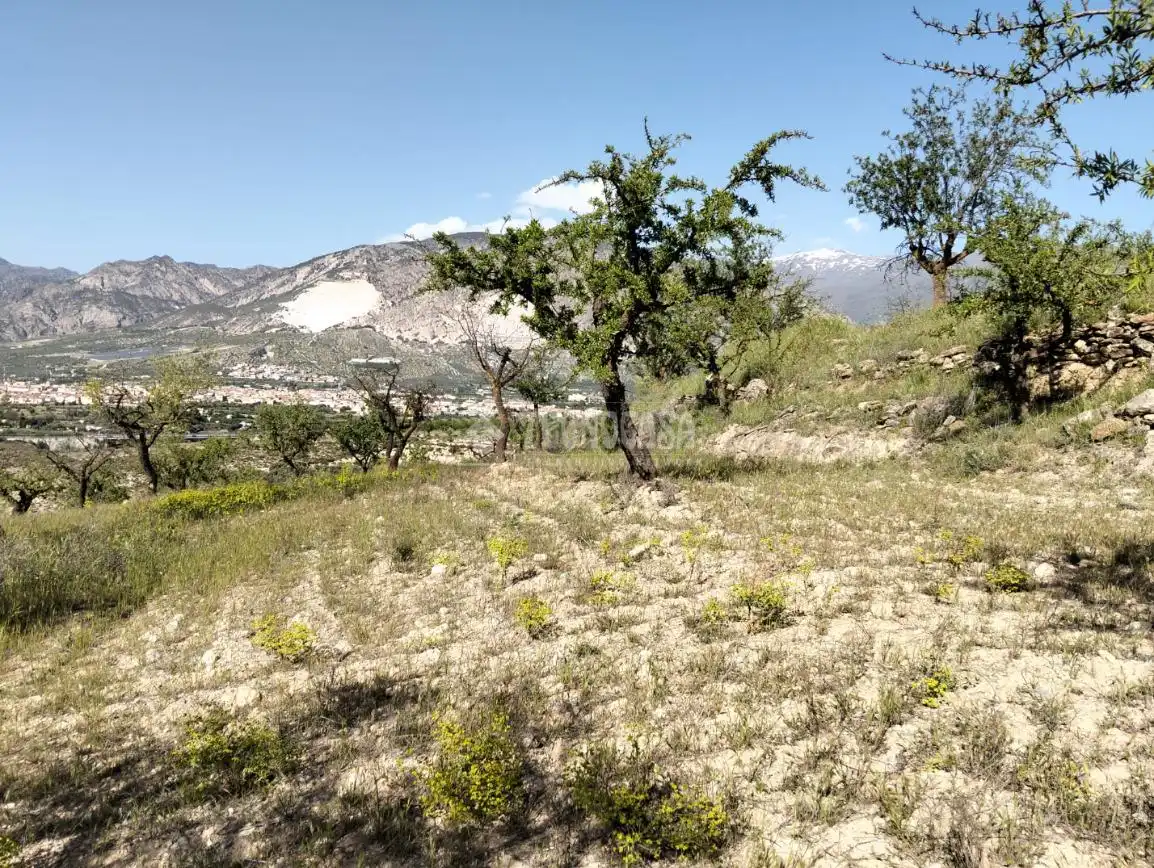 Rural land for sale in Dúrcal, imagen 11